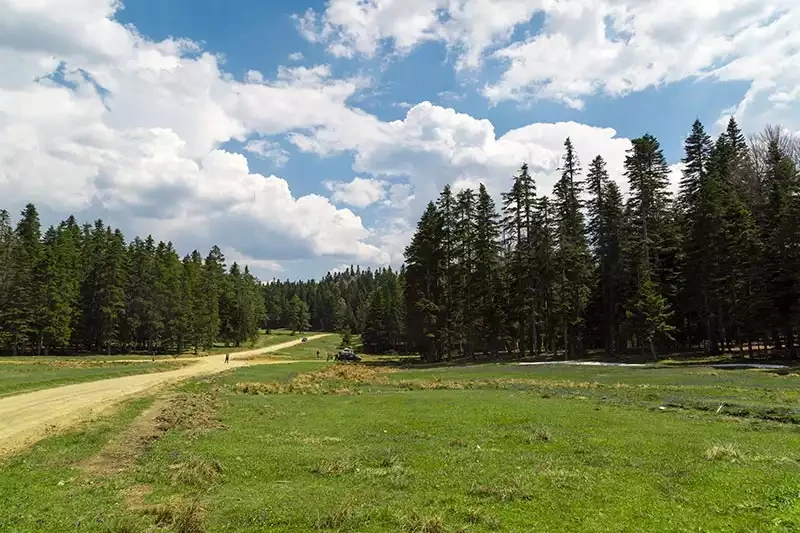 Sinekli Yaylası: Bolu'nun En Popüler Doğa Harikası ve Kamp Alanı