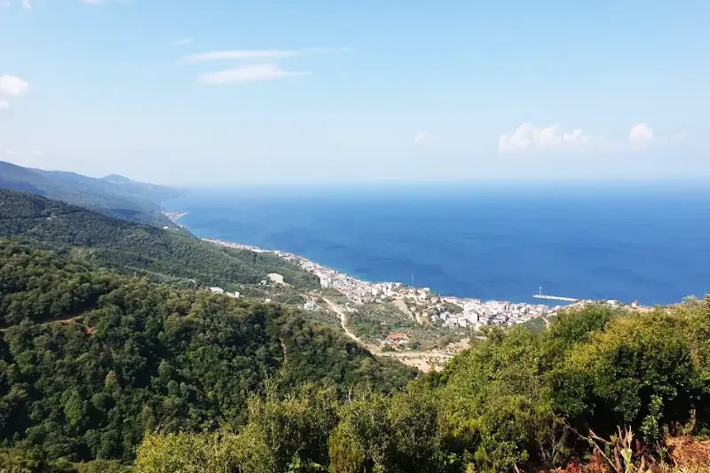 Esenköy Seyir Terası: Yalova'da Kahvaltı ve Harika Bir Manzara