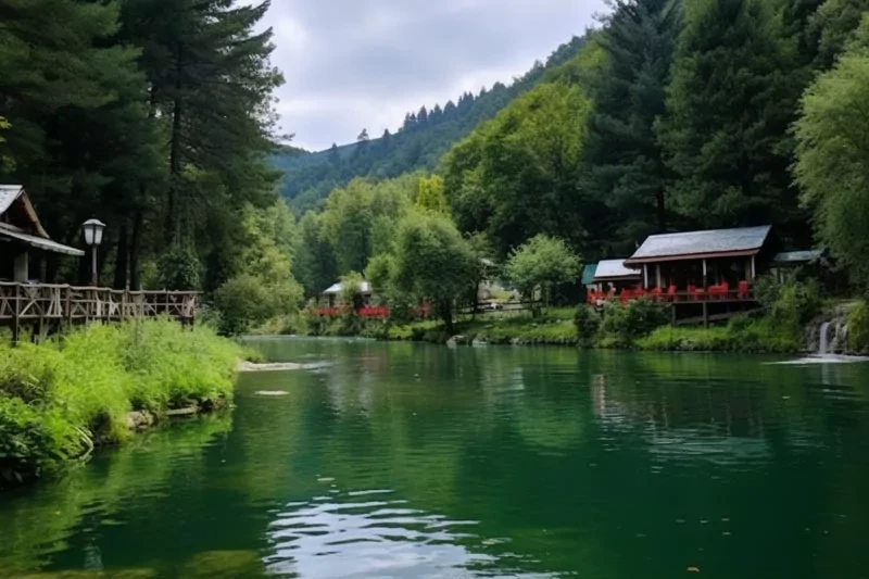 Sopeli Doğal Yaşam Köyü: Sakarya'nın Gizli Cenneti