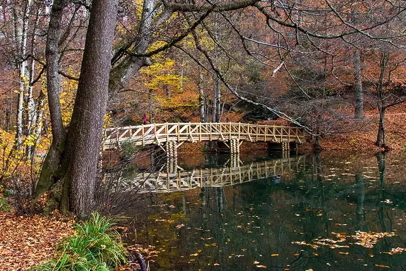 Bolu Yedigöller Milli Parkı Kamp Alanı ve Bungalov Evleri