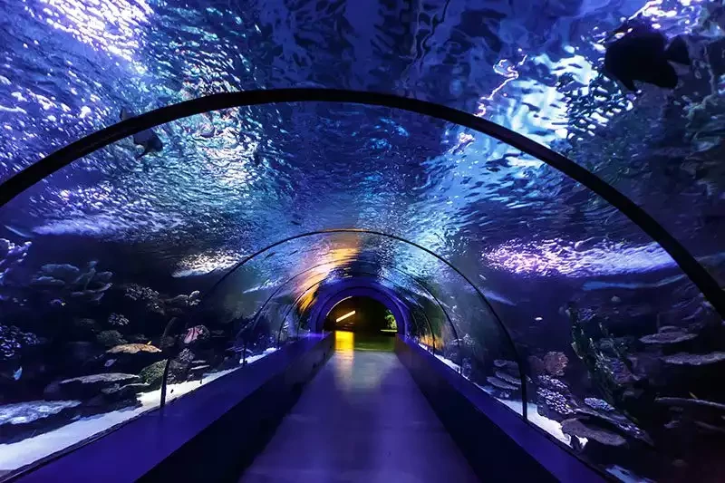 Antalya Aquarium: Dünyanın En Uzun Akvaryum Tüneli