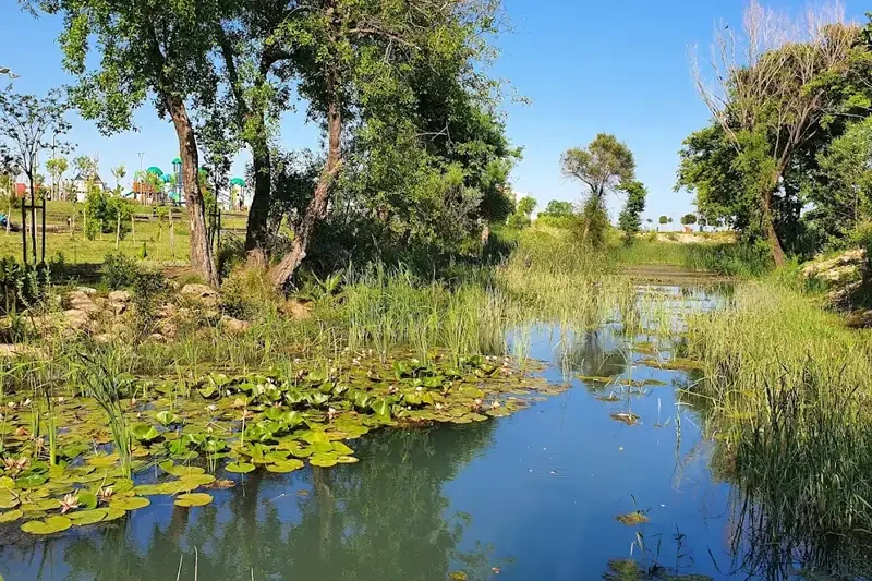 Boğaçayı Parkı: Antalya'dan Yol Tarifi ve Aktiviteler