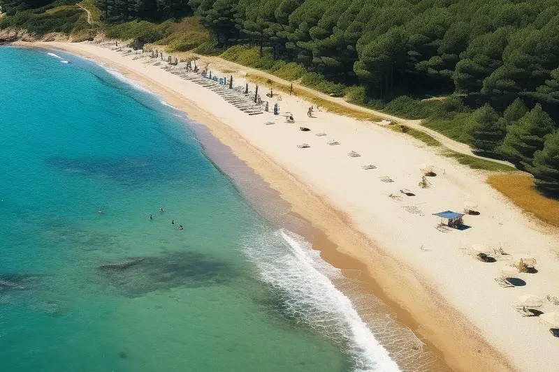 Kabatepe Orman Kampı: Çanakkale'nin Doğal Harikası