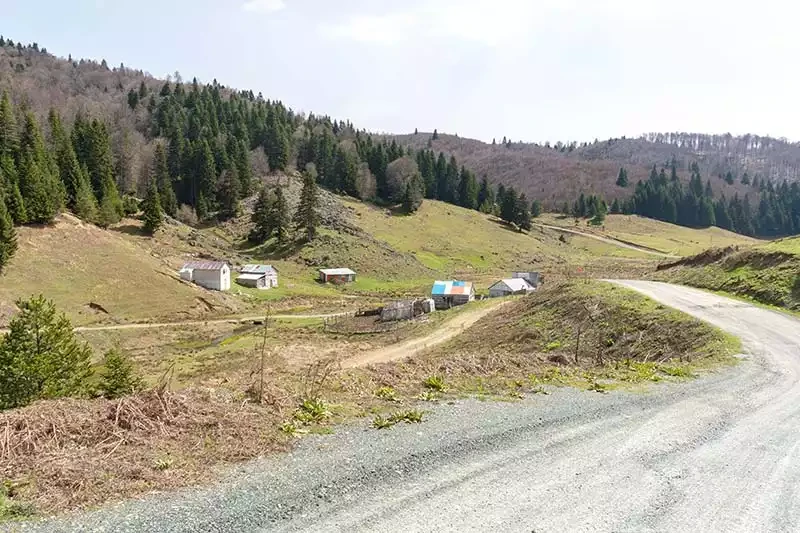 İnönü Yaylası Kamp ve Piknik Alanı: Nerede ve Nasıl Gidilir?