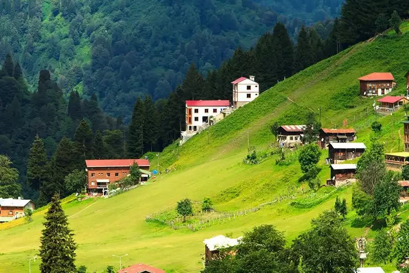 Ayder Yaylası: Rize Çamlıhemşin'in En Meşhuru