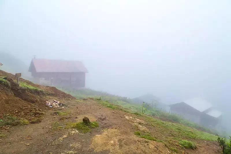 Pokut Yaylası: Rize Çamlıhemşin'in Bölgedeki En Zor Yaylası