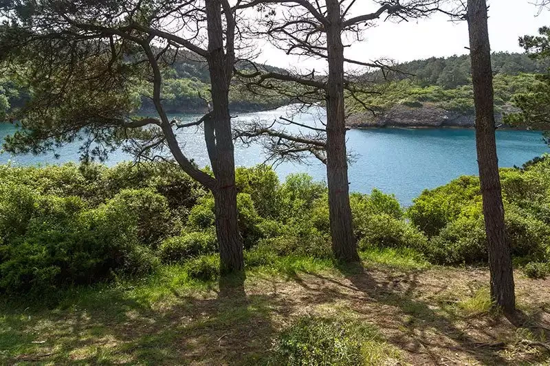 Hamsilos Koyu Tabiat Parkı ve Akliman Plajı: Sinop'un En Güzel Koylarından Biri