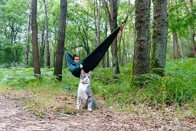 Aziz Paşa Mesire Yeri: Giriş Ücreti, Mangal ve Tesis Bilgileri