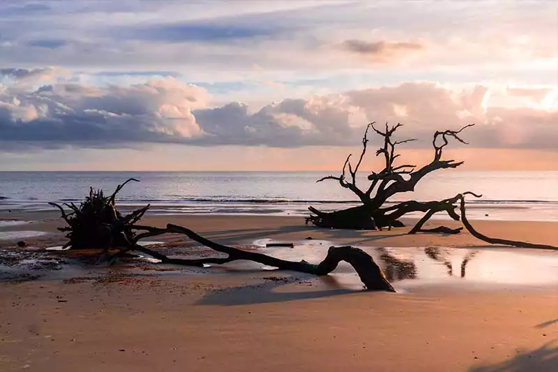 Georgia Driftwood Beach Gezilecek Yerler