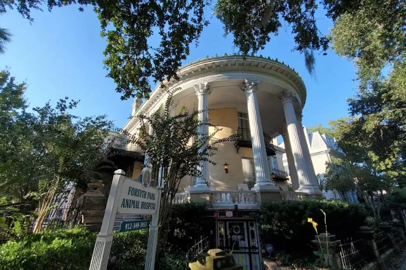 Forsyth Park Architectural Neighboor