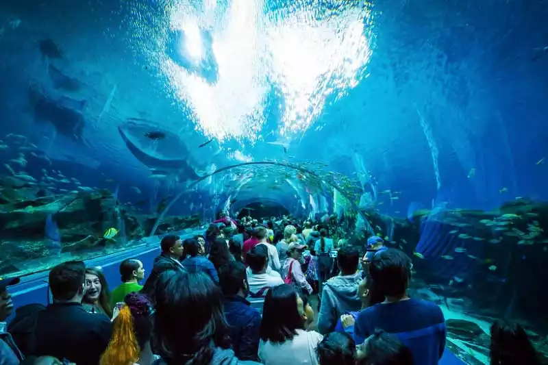 Georgia Atlanta Aquarium Tunnel