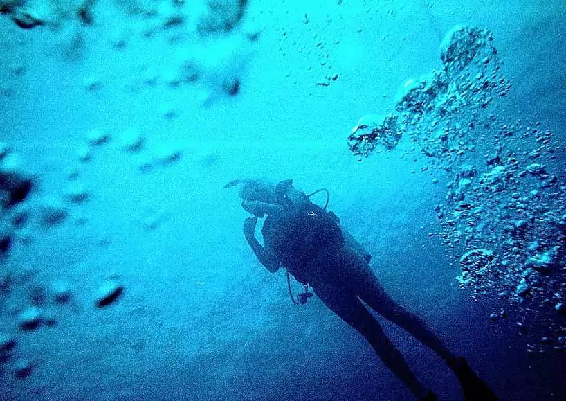 Bahia Honda State Park Scuba Diving